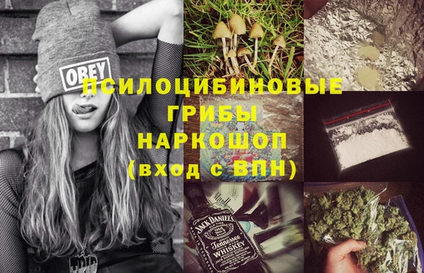 прущие грибы Белоозёрский
