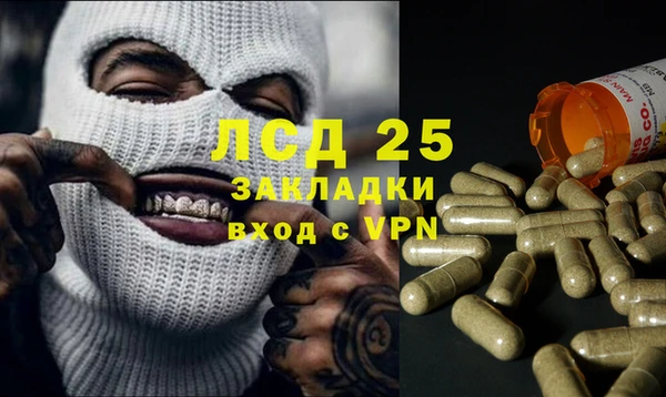 прущие грибы Белоозёрский