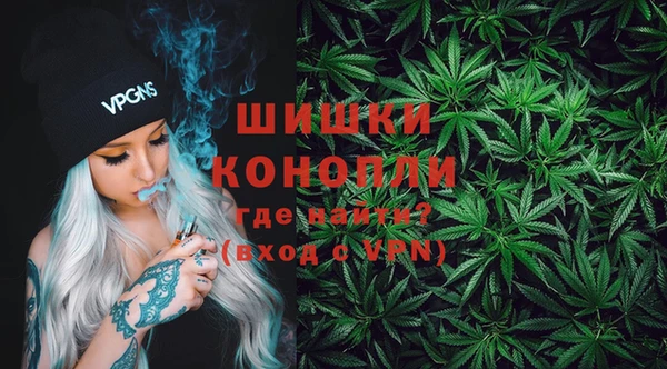 прущие грибы Белоозёрский