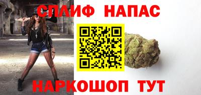 мдпв Новозыбков