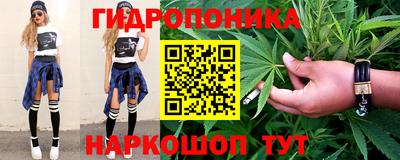 мдпв Новозыбков