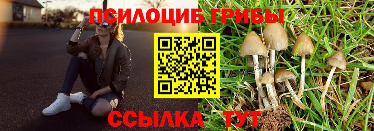 Галлюциногенные грибы прущие грибы  Псилоцибиновые грибы MAGIC MUSHROOMS  Саяногорск  Вход с VPN 